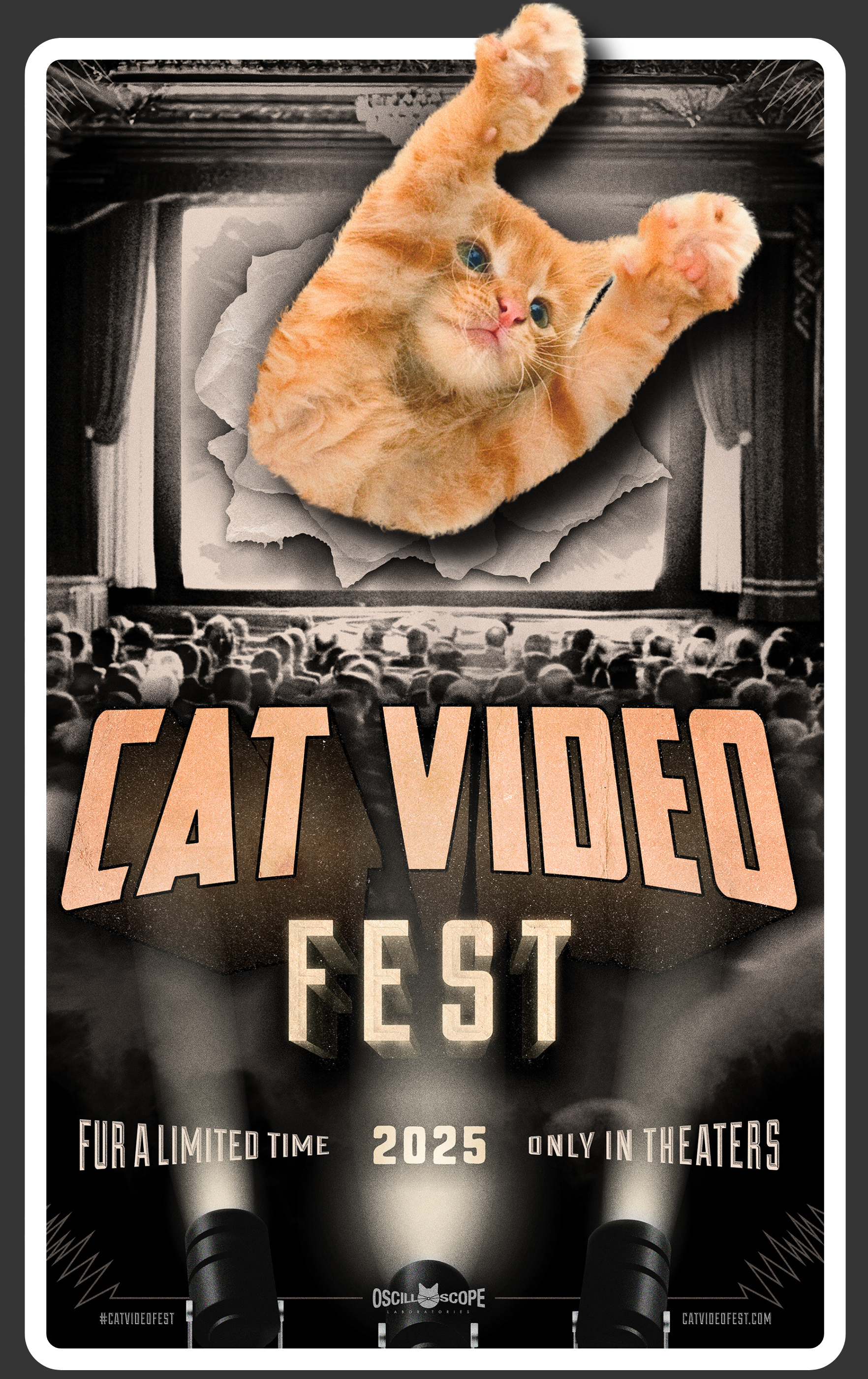 CATVIDEOFEST 2025: Every Movie Ticket Helps a Cat in Need!